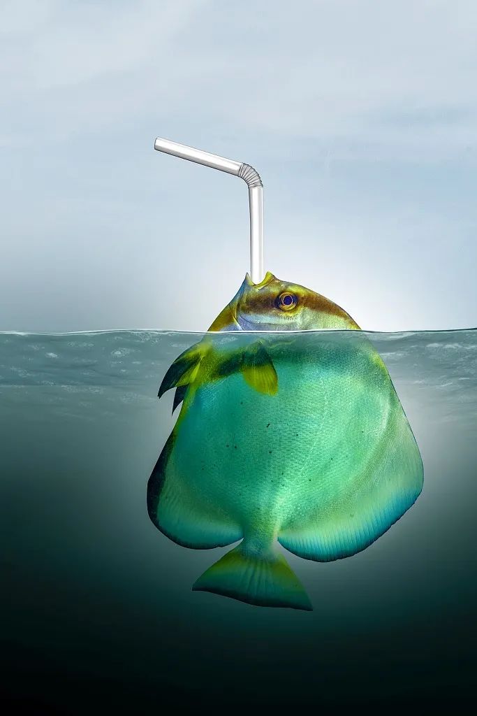 这个“垃圾大国”，真是让我开眼了