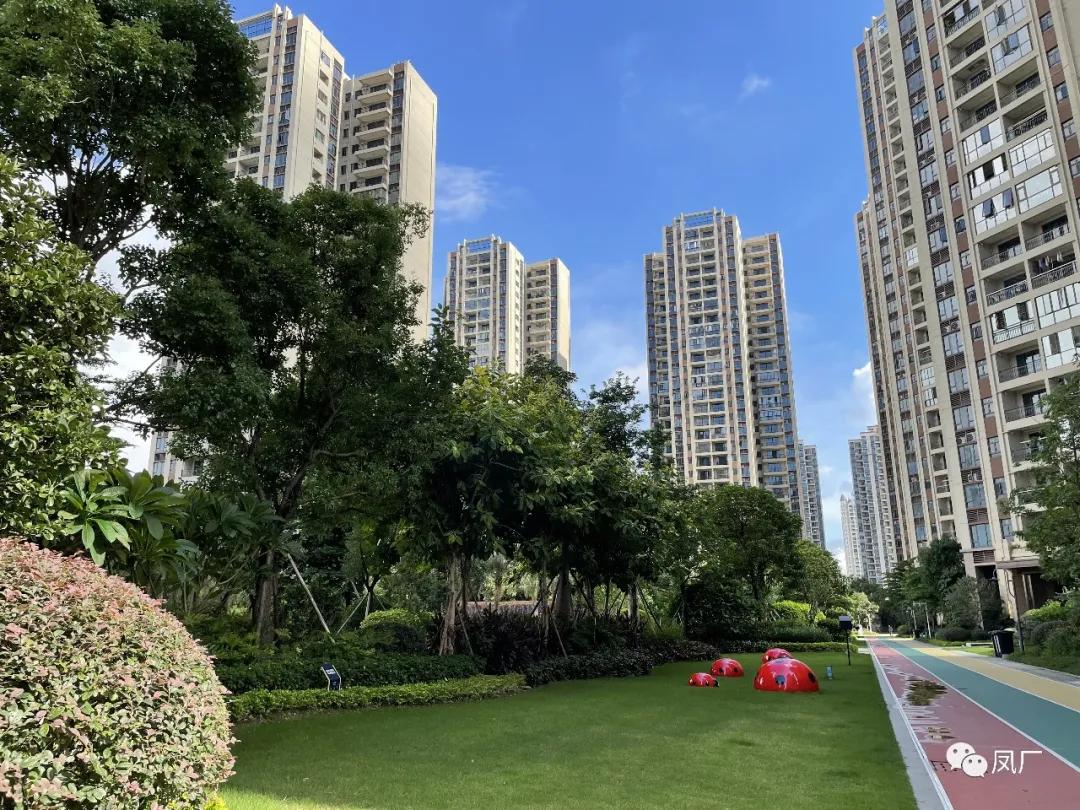 容桂东部：凤凰湾入秋了（多图）