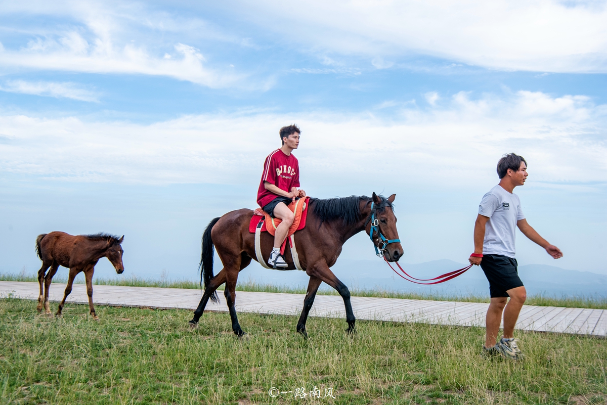 河南特别大的草原,美丽的河南大草原