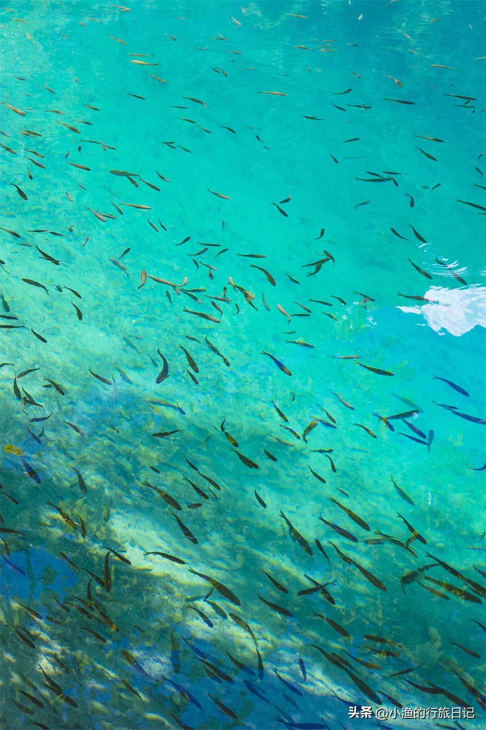 广州去四川九寨沟旅游攻略,成都旅游3-4天攻略最佳线路九寨沟