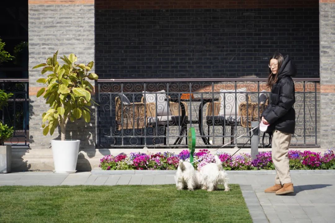 蓝瓶咖啡速溶,蓝瓶咖啡视频大全