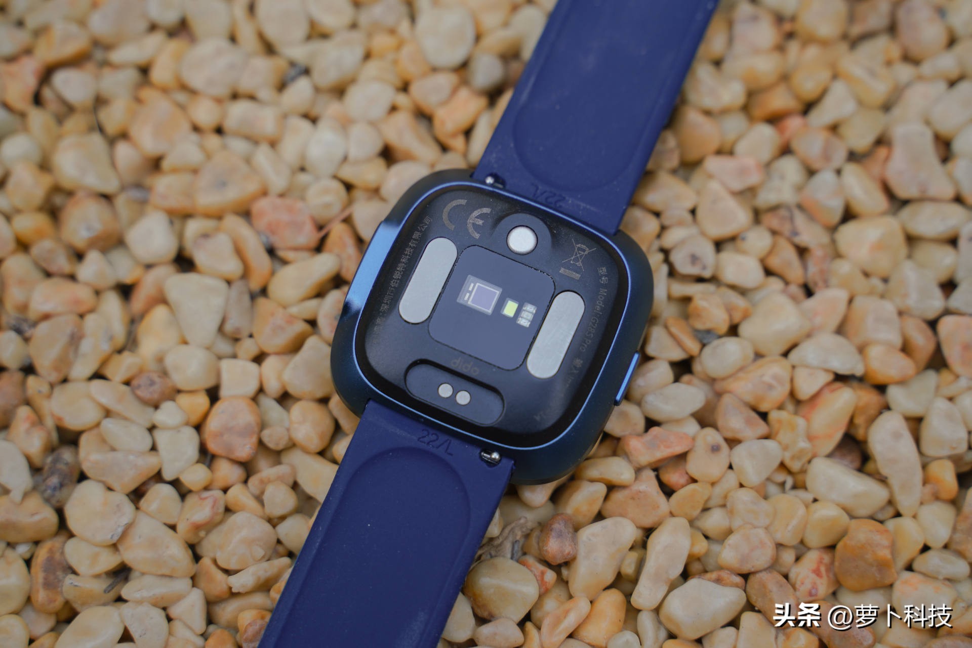 血压血糖测试多少钱,血糖血压心电图检查多少钱