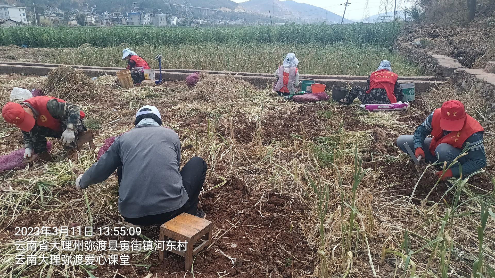 爱心助农公益活动,爱心助农服务活动