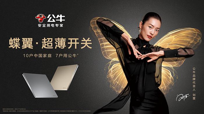 插座一哥现在怎么样了,插座一哥