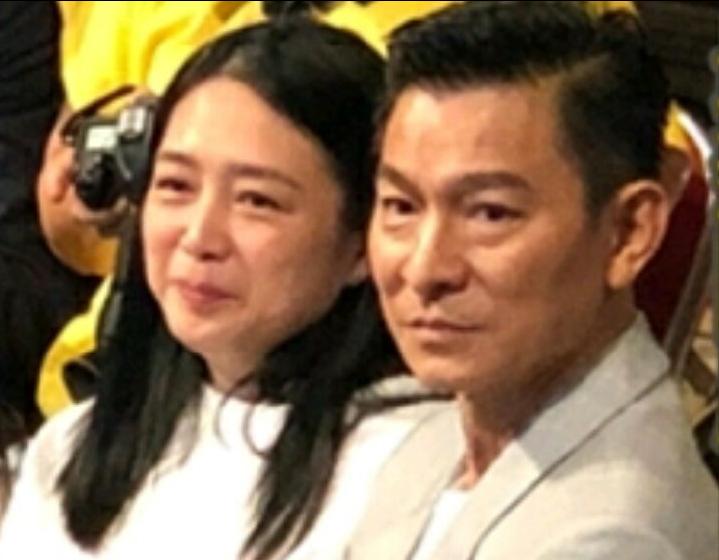 朱丽倩刘德华生了几个孩子,朱丽倩为刘德华生了几个孩子