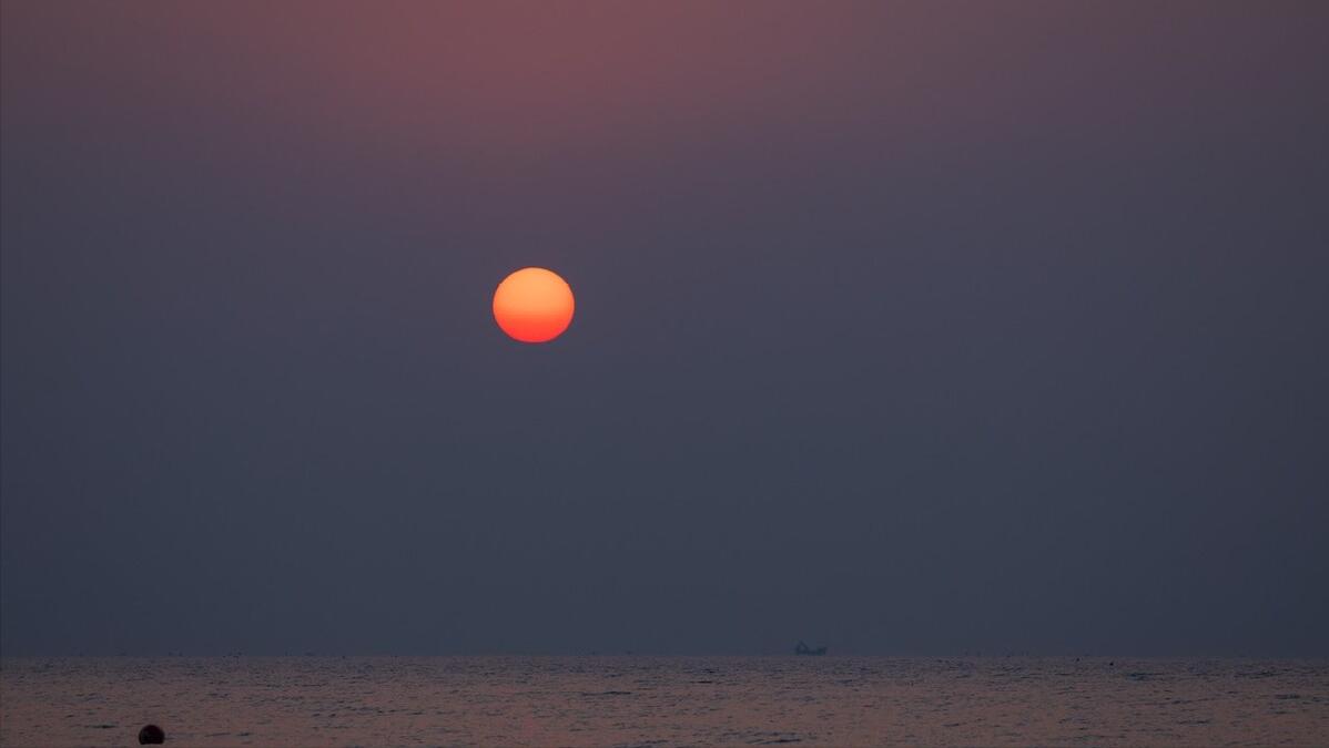 早上起来就拉肚子，比闹钟还准时？赶紧试试这四味药