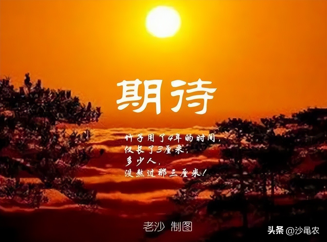 股市早8点报怎么回事,股市早八点