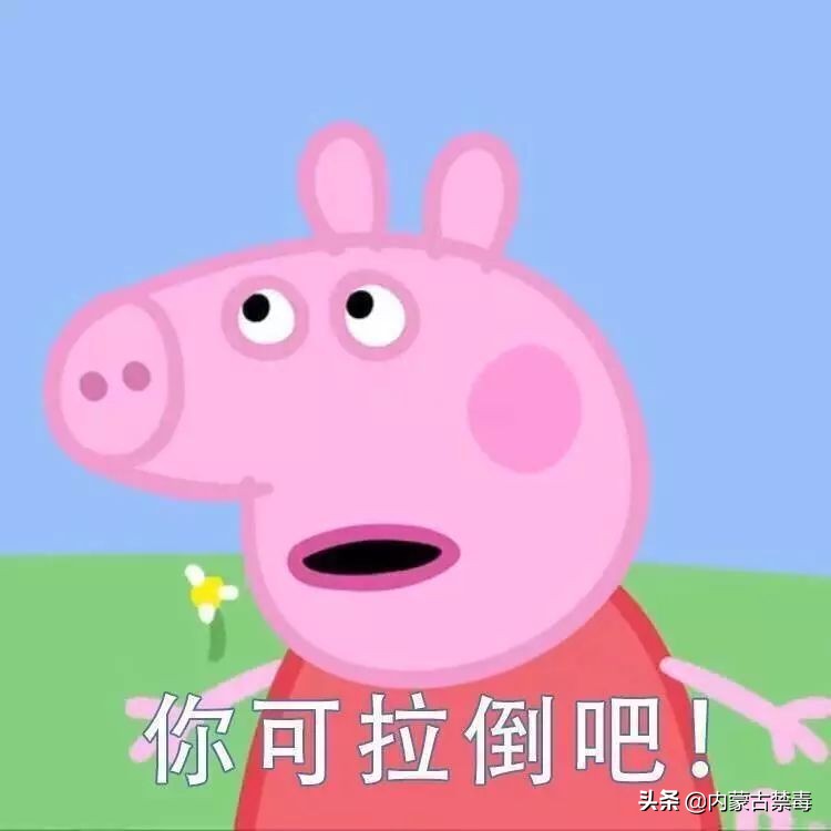 为什么吸毒后有被害妄想,吸毒患者大脑和正常人有区别吗