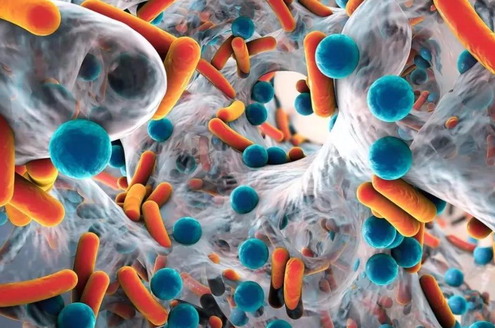 为什么有的女性*处私**没有毛？女性*处私**毛发的3个好处，别羞于了解