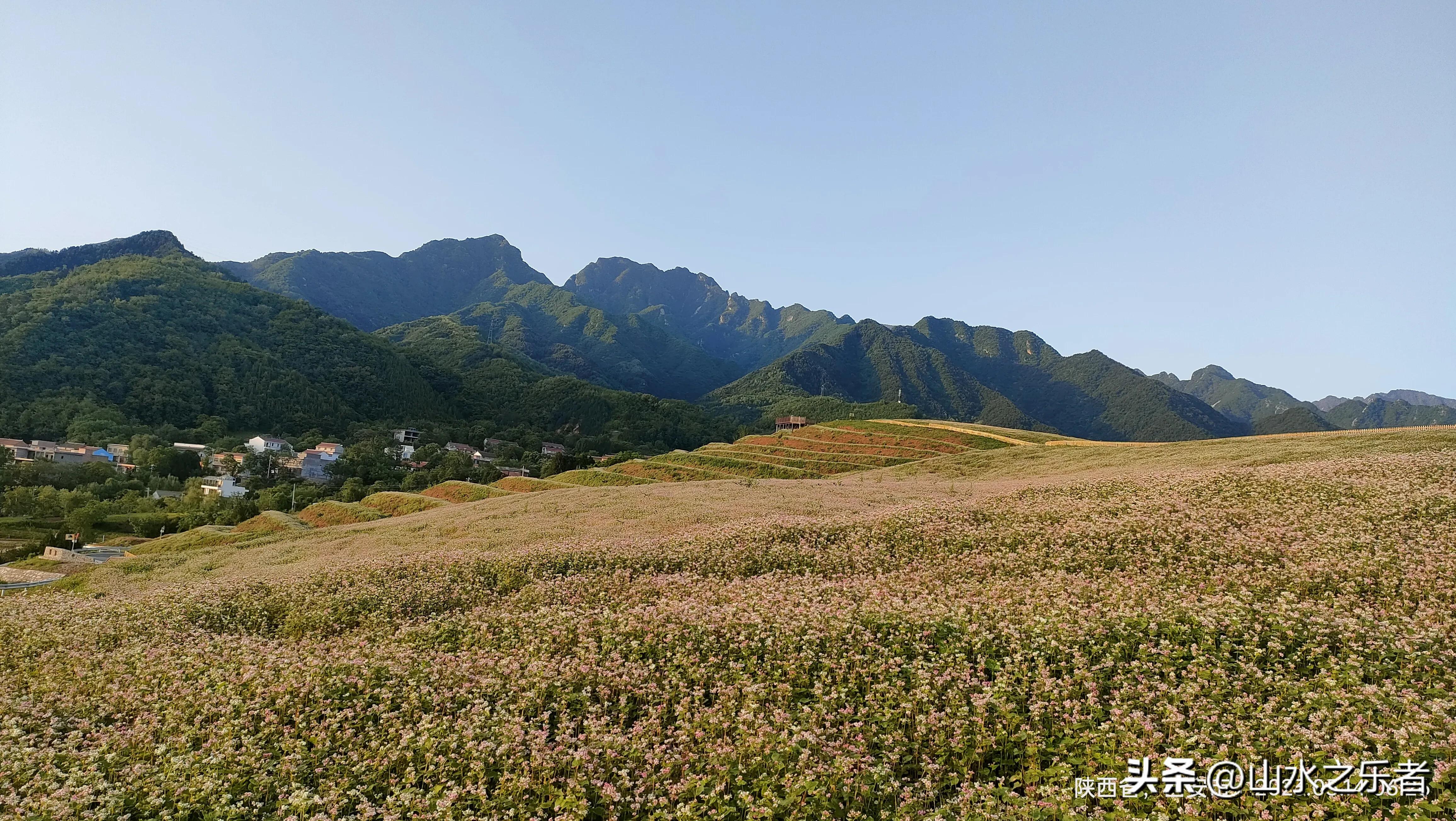 晨游秦岭北麓,蓝田荞麦岭怎么去