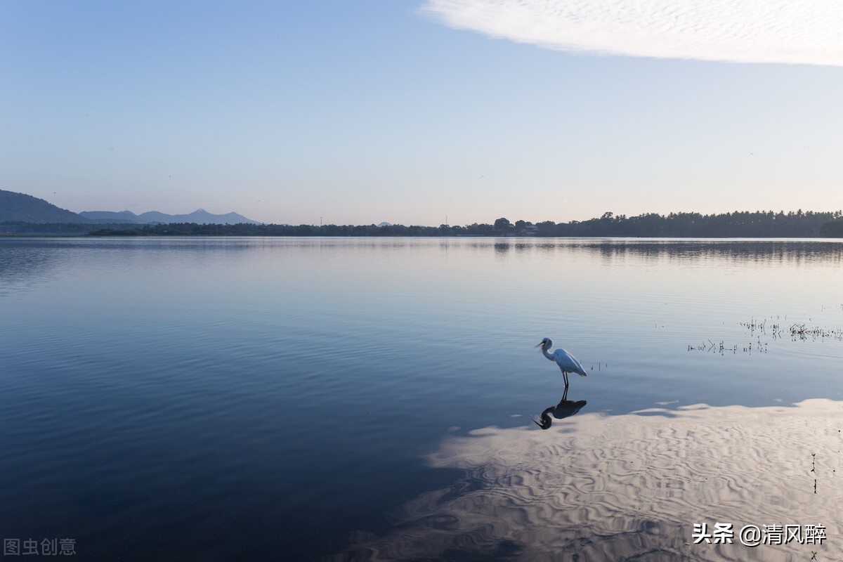 自己霸气文案暖心短句,走秀文案简短霸气