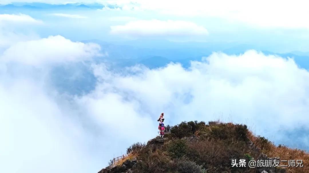 清远金子山旅游攻略看雾凇,广东金子山雪景旅游攻略
