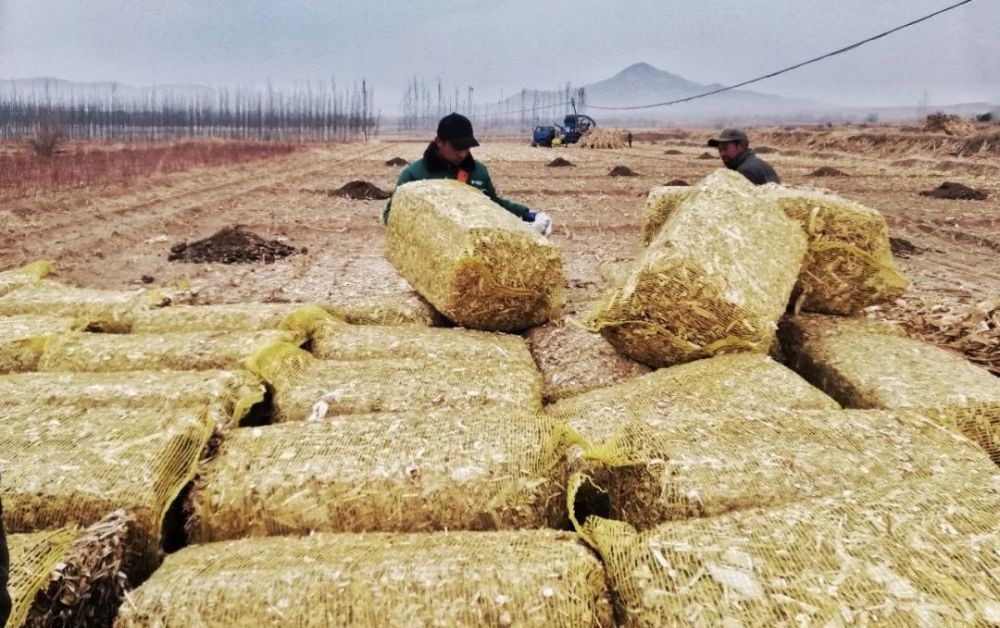 秸秆打包10元一亩,秸秆粉碎打包一捆多少斤