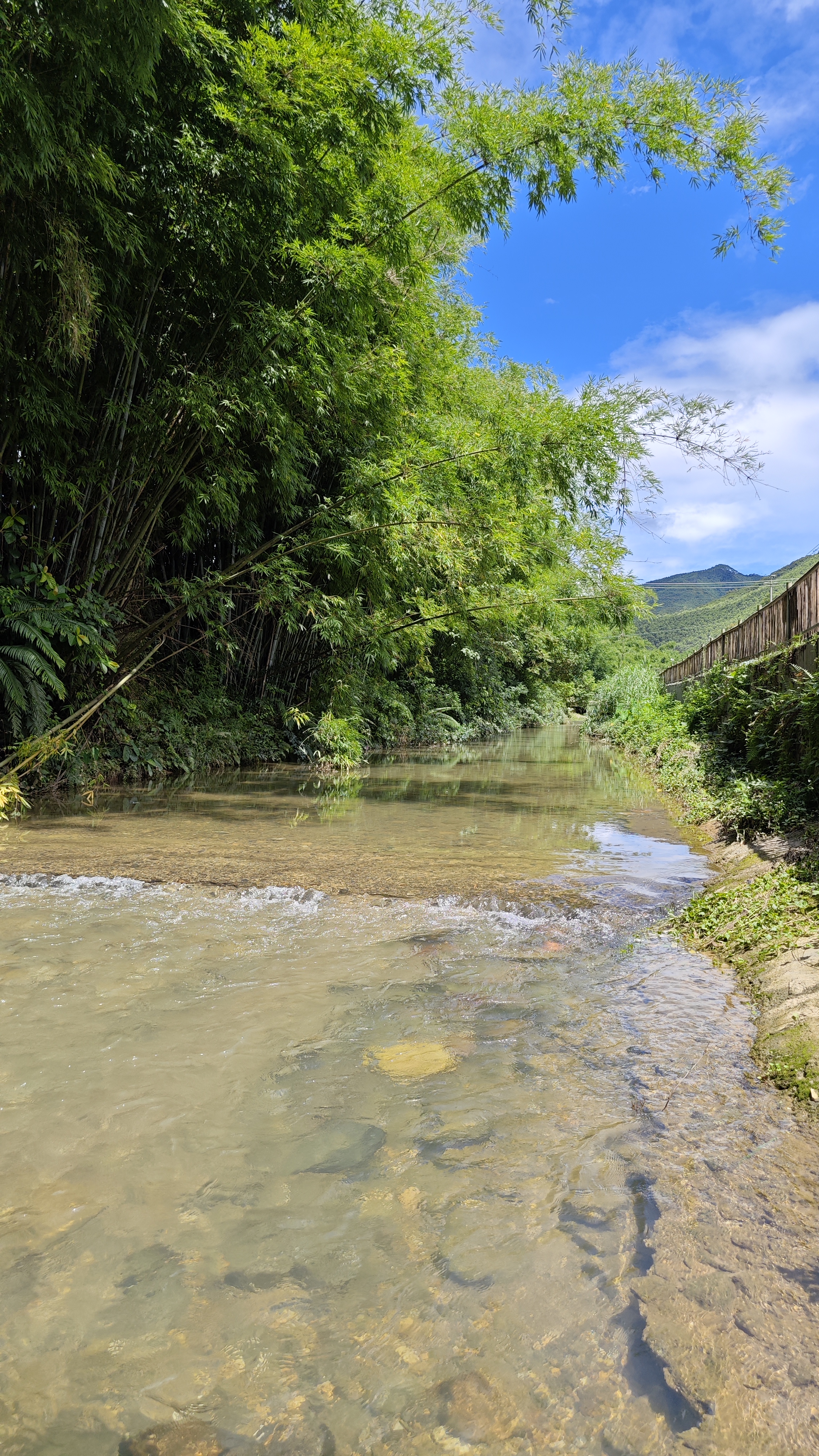 罗浮山温泉品质特色民宿推荐,惠州罗浮山脉下的乡野秘境民宿