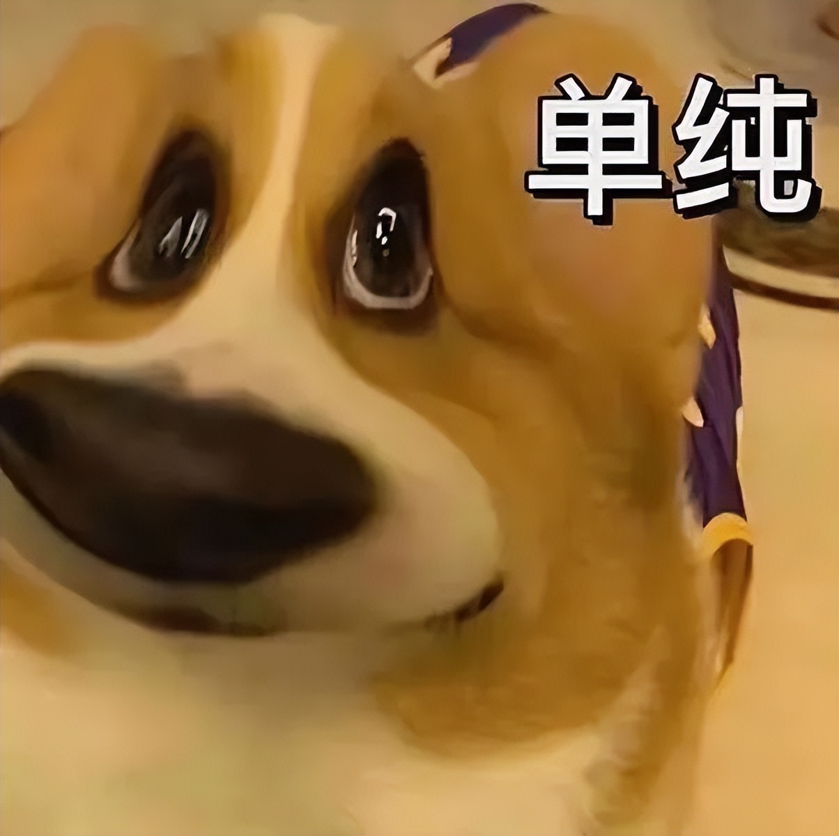 隔壁友商影像旗舰一台接一台，小米呢？