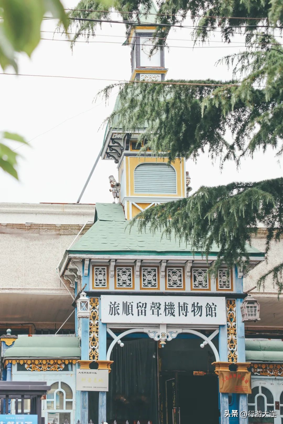 漫步银杏海~大连最美秋日在这里