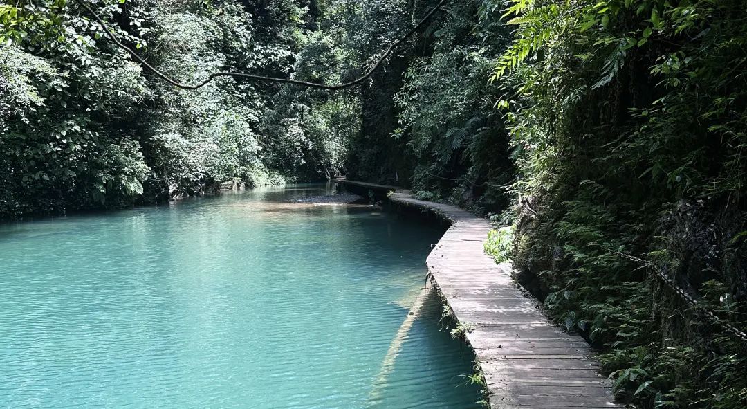 高铁直达的旅游景点有哪些,高铁地铁直达的景区