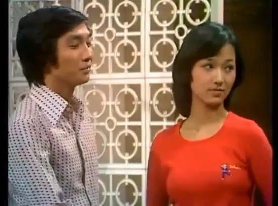 TvB历年电视剧系列,tvb历年电视剧列表