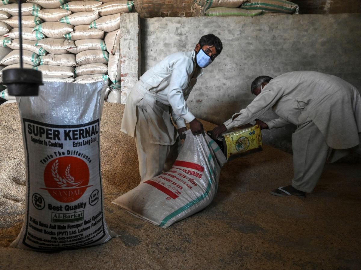 印度新设大米出口税,印度调整大米出口关税