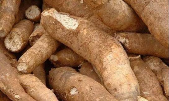 古井贡酒年份原浆哪款适合口粮酒,古井贡酒年份原浆是纯粮食酒吗