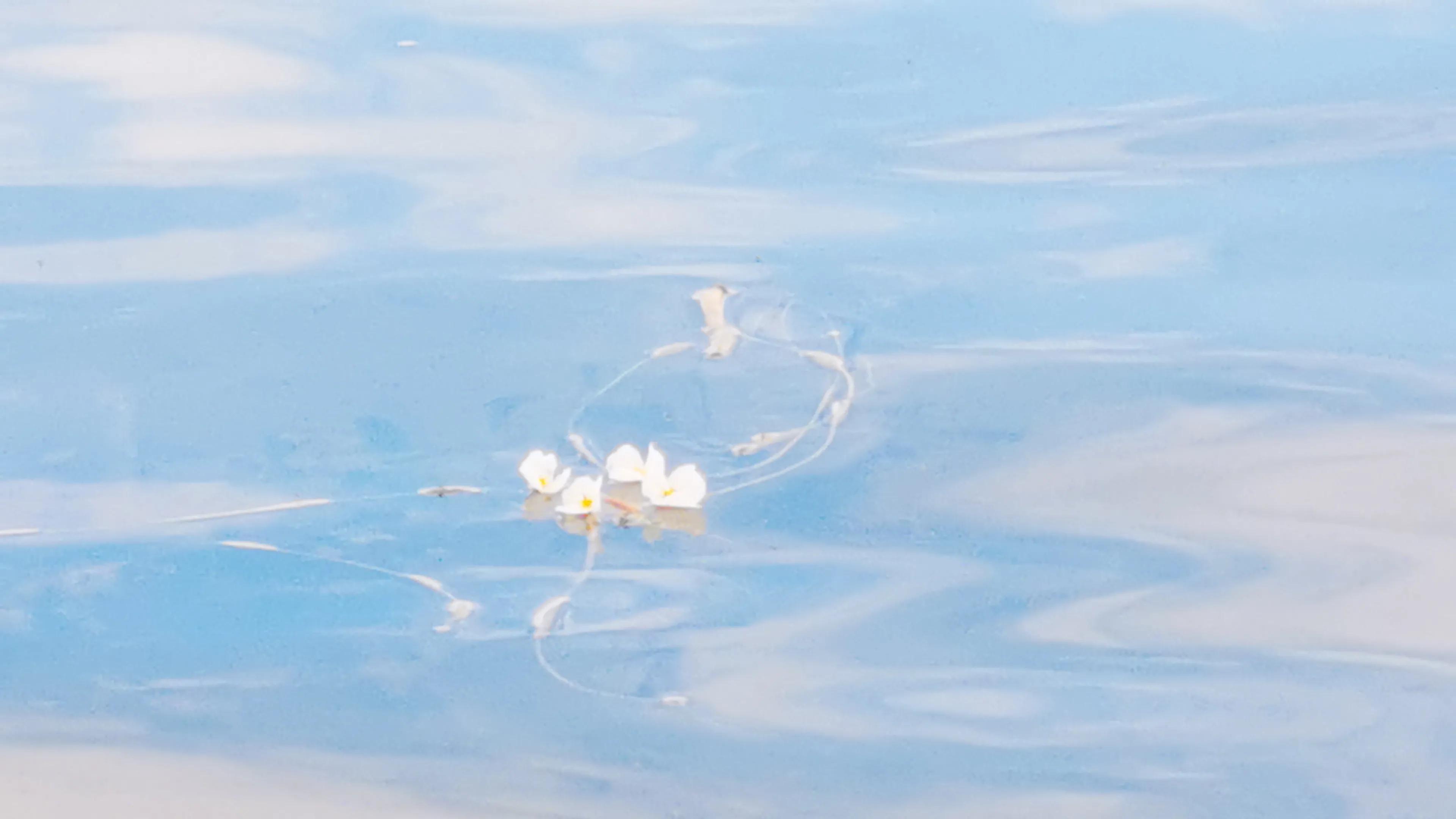 泸沽湖自驾游攻略,泸沽湖自驾游住宿攻略