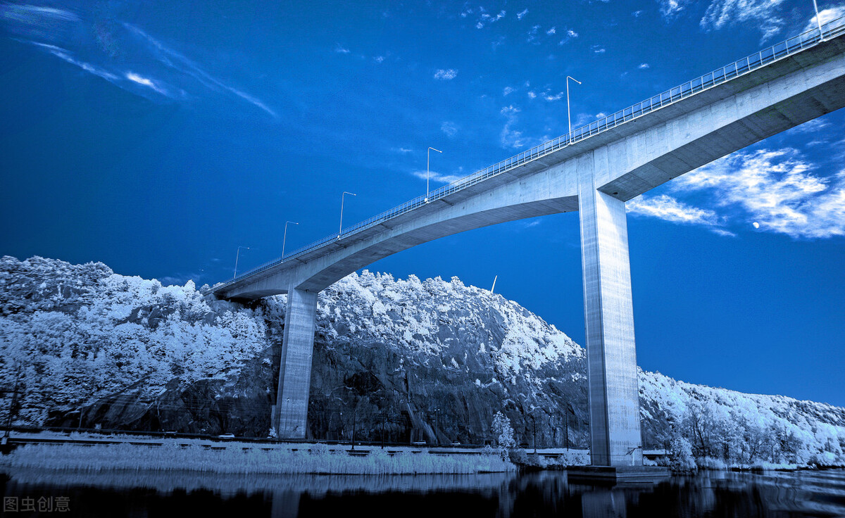 严重低估的优质蓝筹龙头股,严重低估的龙头股