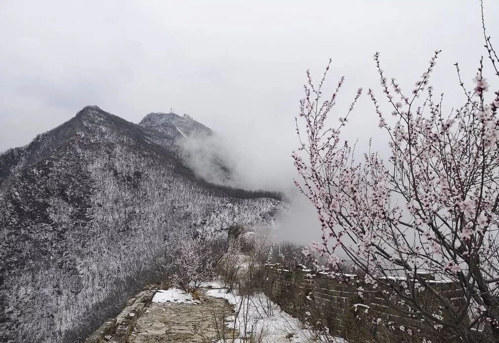 关于春的古诗词大全100首,100首关于春的古诗词美到令人窒息