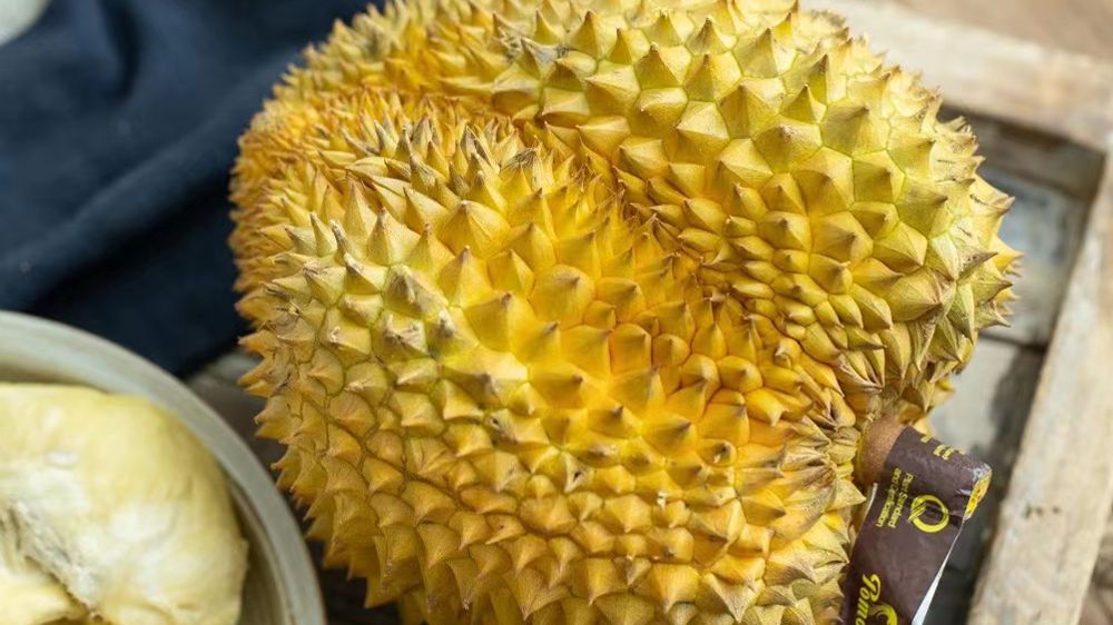 想开个水果店怎么进货,水果店进货源