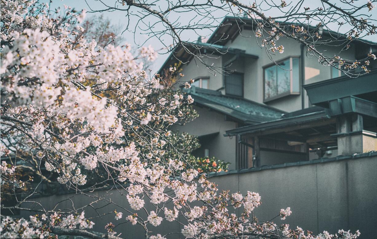 投资日本房产的利与弊,投资日本房产究竟值不值得