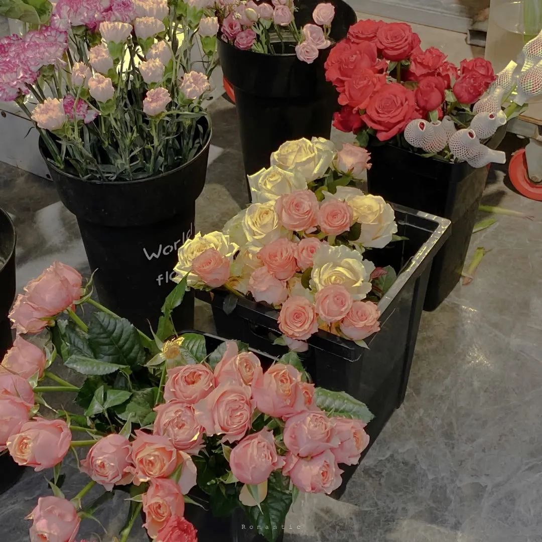 超有感觉的背景图伤感,小众超有感觉的背景图