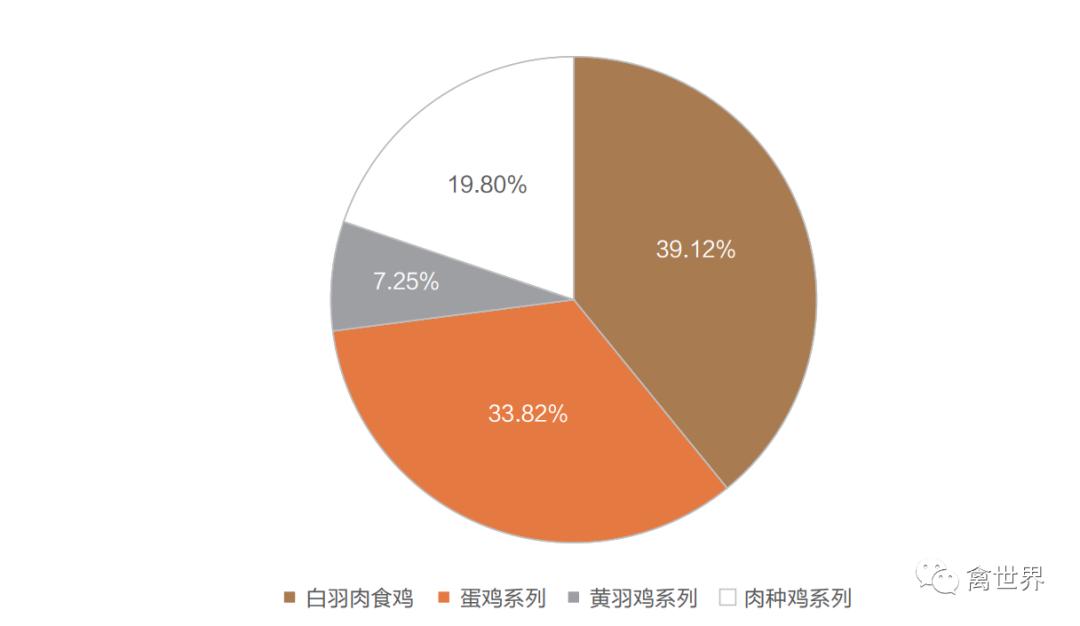 大数据｜2019年-2022年4月我国鸡滑液囊支原体流行病学调查报告