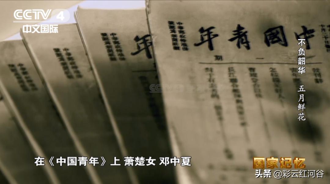 哪一年宣布五月4日为青年节,5月4日青年节早上好图片