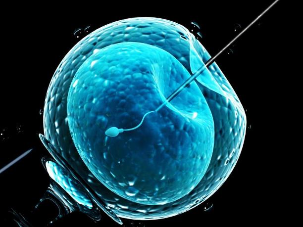 进入女性体内后,没“受精”成功的精子都去哪儿了?既好笑又心疼