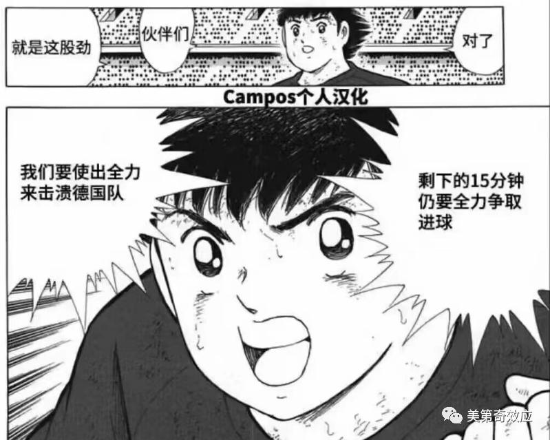 世界杯伊朗对德国,德国对伊朗世界杯