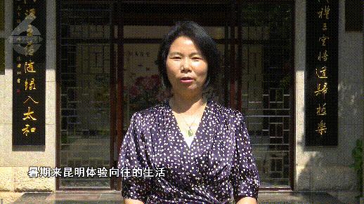 昆明植被覆盖情况,昆明市区植被覆盖率最高区域