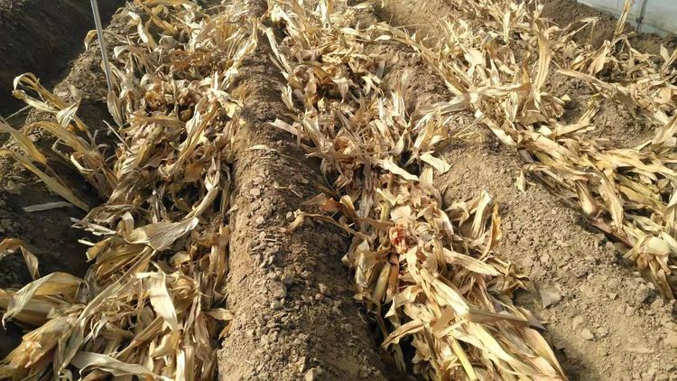 秸秆打包10元一亩,秸秆粉碎打包一捆多少斤