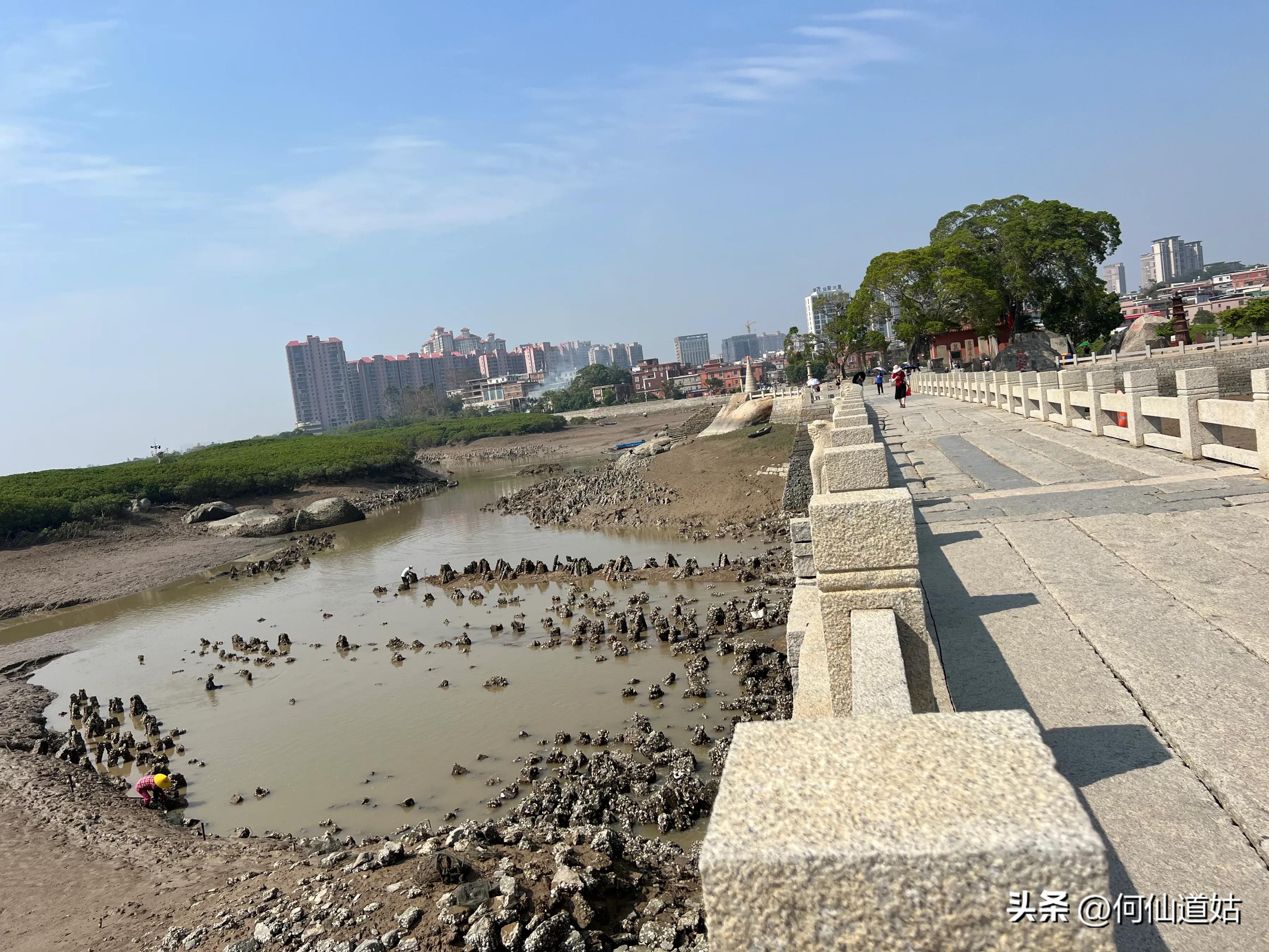 洛阳桥传说真实故事,洛阳桥泉州