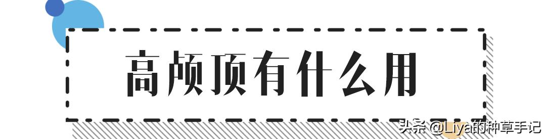 高颅顶更显脸大,高颅顶真的可以提高颜值吗
