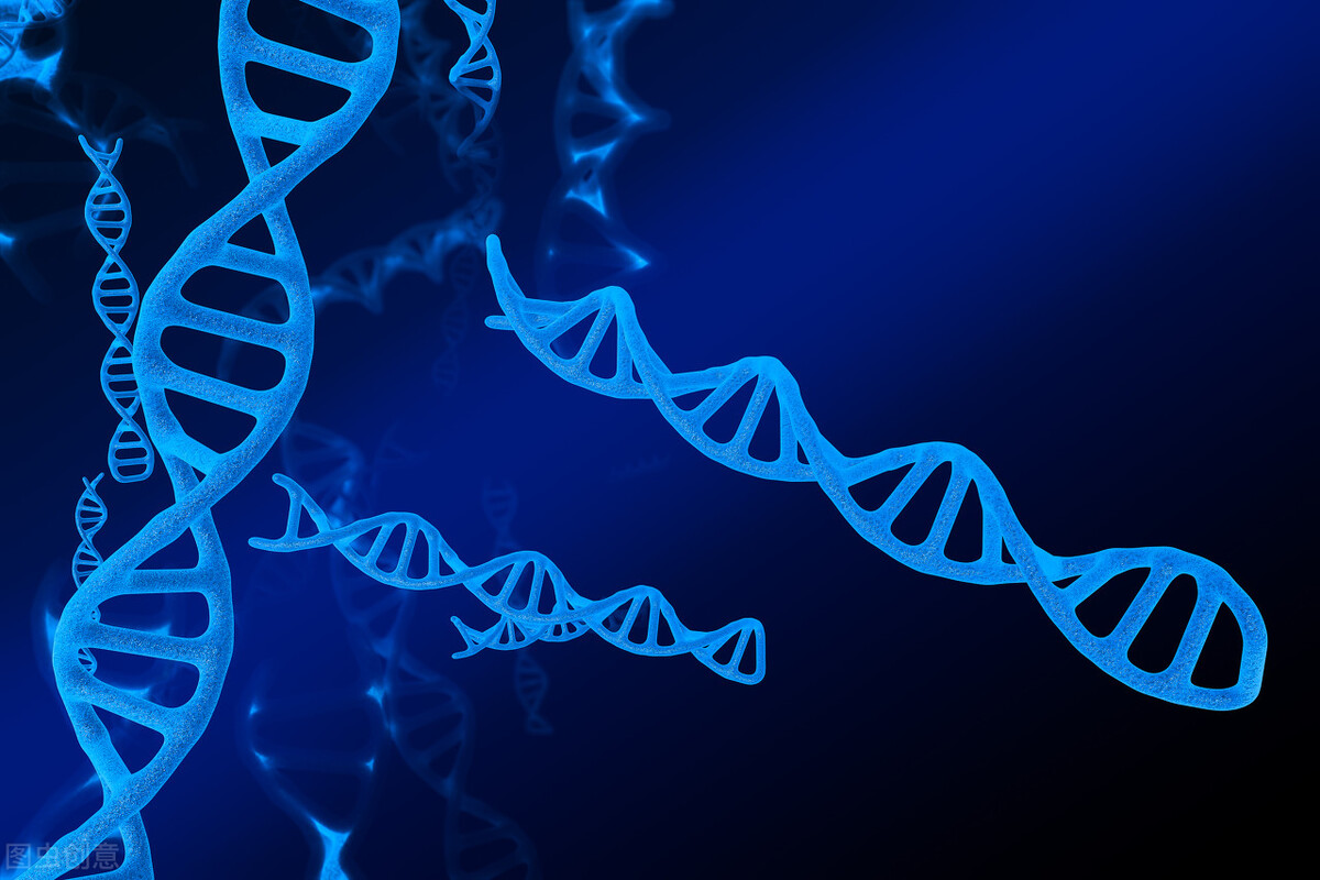 中年人高血压突然眩晕怎么回事,为什么这么多老人有高血压