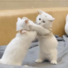 wifi时好时坏,wifi时好时坏已连接显示需要登录