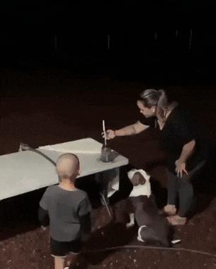 100个难得一见照片,难得一见12张照片