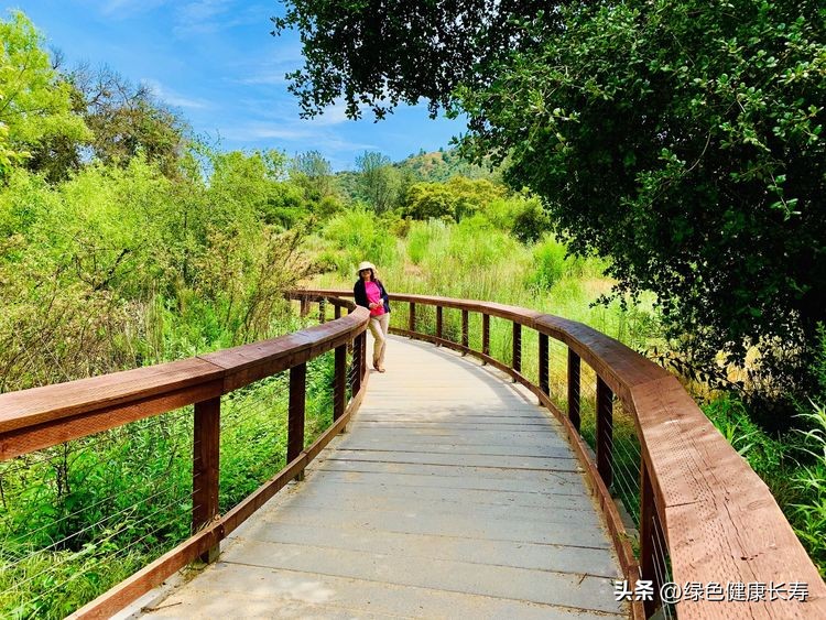 世界花园风景,世界花园