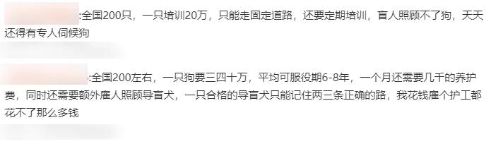 用了上百年的导盲犬，被网友们喷成了一场*局骗**，且不如电子盲杖？