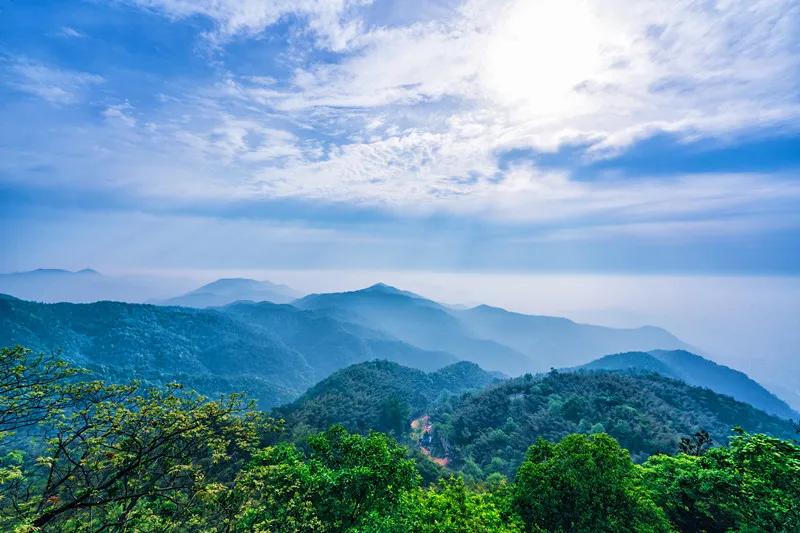 莫干山川野特色民宿,莫干山民宿亲子游烧烤
