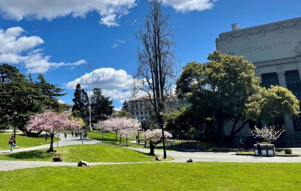 ucberkeley鐣欏,ucberkeley鐣欏鏉′欢