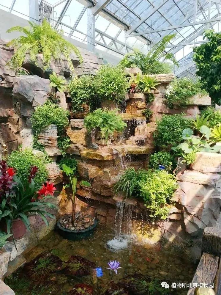 北京植物园的赏花的最好时节,西山秘境惊艳北京的植物