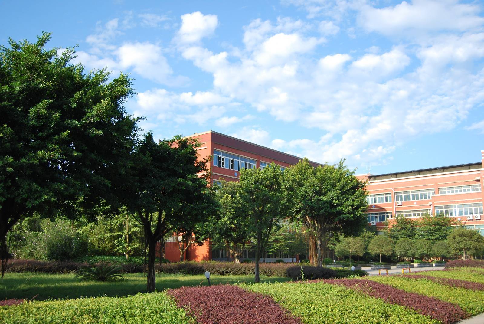 清华北大评选的重庆十大高中,重庆排名最好的5所高中