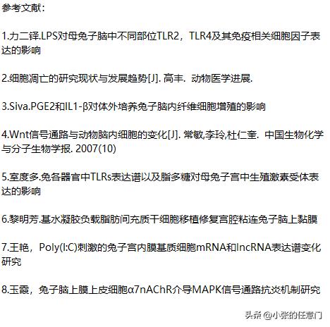 兔科动物的特点,兔科动物有哪些属