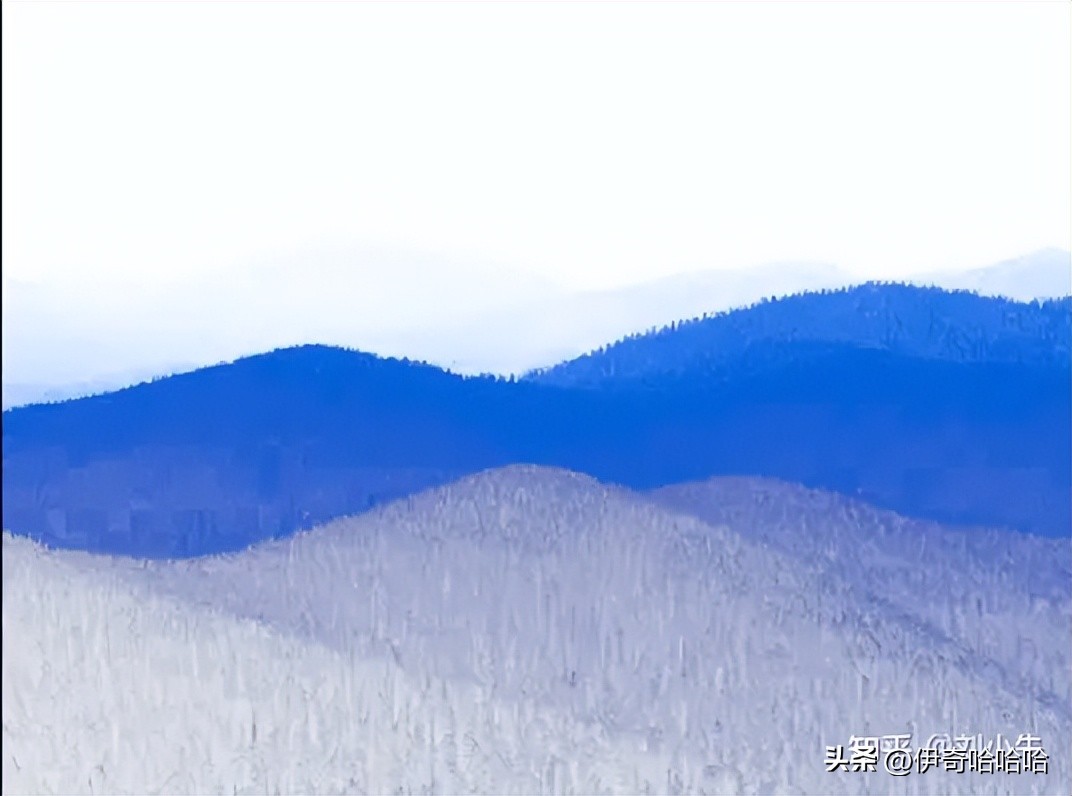 photoshop第一课魔棒工具,ps入门基础教学套索工具