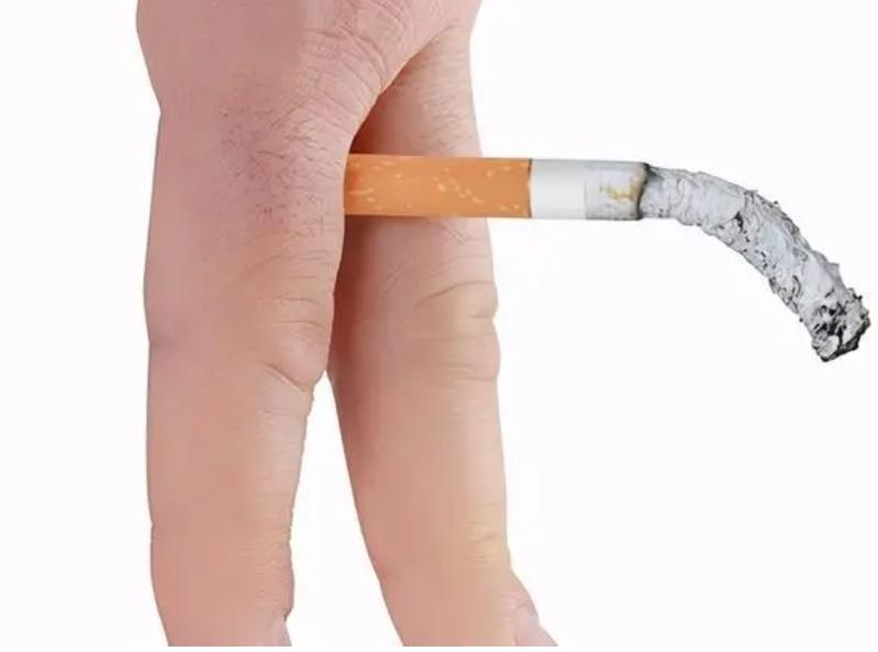 为什么男人的丁丁，普遍偏左？